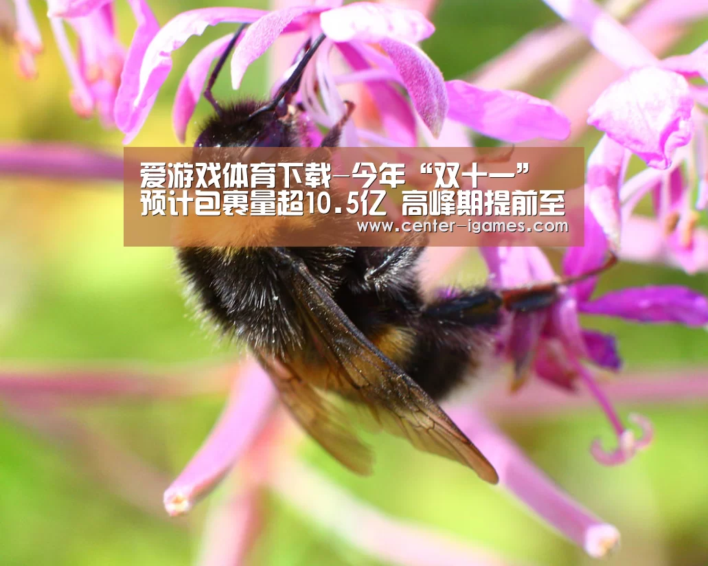 爱游戏体育app