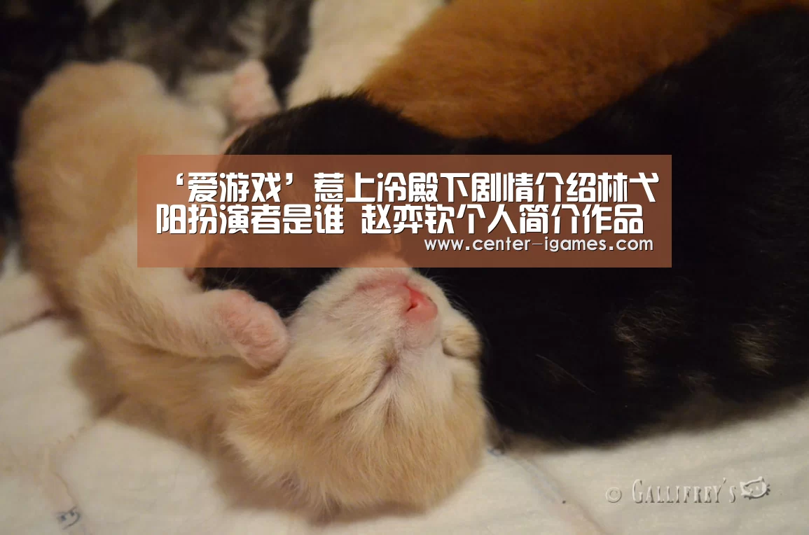 爱游戏