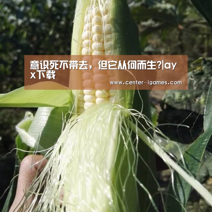 ayx下载