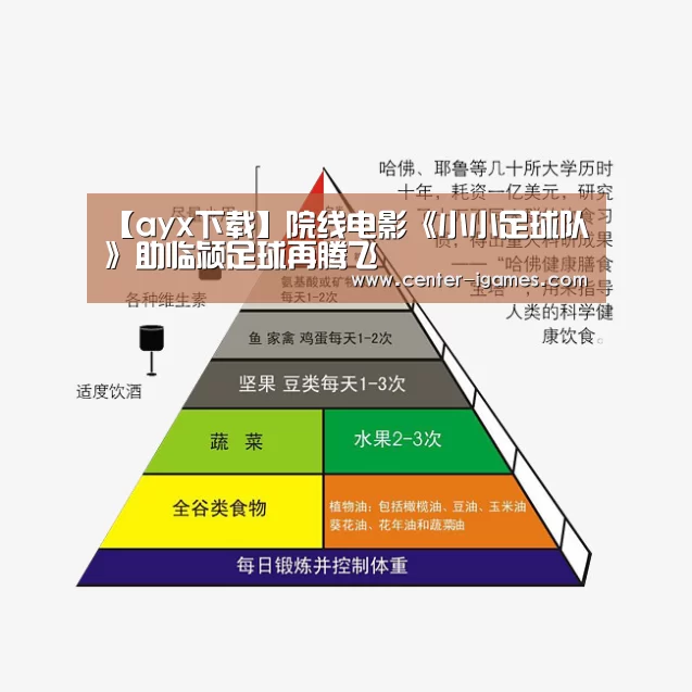 ayx下载